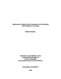 thumnail for Baideme_columbia_0054D_15247.pdf