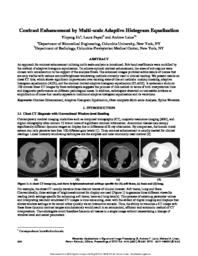 thumnail for 196.pdf