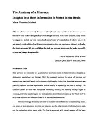 thumnail for paper_sp05_Miniaci.pdf