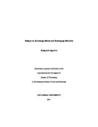 thumnail for Aguirre_columbia_0054D_10062.pdf
