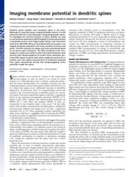 thumnail for PNAS-2006-Nuriya-786-90.pdf