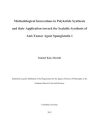 thumnail for Reznik_columbia_0054D_10915.pdf