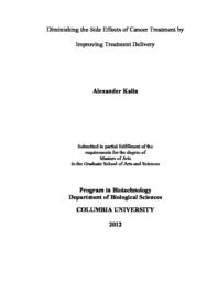 thumnail for Alexander_Kalin_Master_s_Thesis.pdf