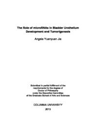 thumnail for Jia_columbia_0054D_11224.pdf