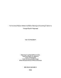 thumnail for Tullo_columbia_0054D_11379.pdf