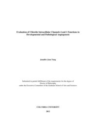 thumnail for Tung_columbia_0054D_10611.pdf