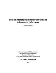 thumnail for Scherer_columbia_0054D_11117.pdf