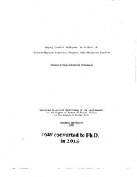 thumnail for Straussner.pdf