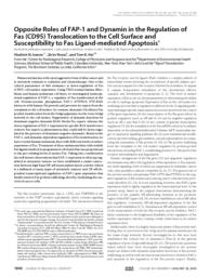 thumnail for JBC_2006_Ivanov.pdf