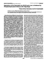 thumnail for JBC_2002_Ivanov.pdf