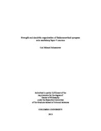thumnail for Schoonover_columbia_0054D_11511.pdf
