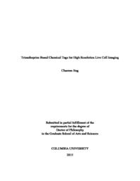 thumnail for Jing_columbia_0054D_11571.pdf