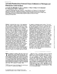 thumnail for J_Cell_Biol-1993-Loike-945-55.pdf