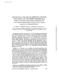 thumnail for J_Exp_Med-1975-Christman-419-34.pdf