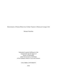 thumnail for Schreiber_columbia_0054D_13134.pdf