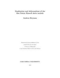 thumnail for Heyman_columbia_0054D_13281.pdf