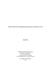thumnail for Tsai_columbia_0054D_14500.pdf