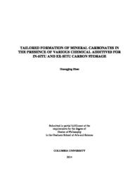 thumnail for Zhao_columbia_0054D_11835.pdf