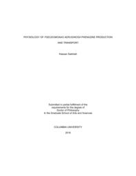 thumnail for Sakhtah_columbia_0054D_13231.pdf