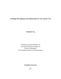 thumnail for Ng_columbia_0054D_13770.pdf