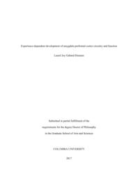 thumnail for GabardDurnam_columbia_0054D_13663.pdf
