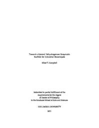 thumnail for Campbell_columbia_0054D_10161.pdf