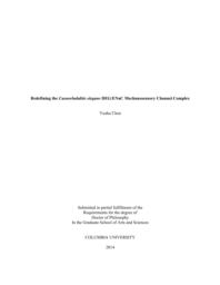 thumnail for Chen_columbia_0054D_12226.pdf