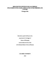 thumnail for Zhu_columbia_0054D_15145.pdf
