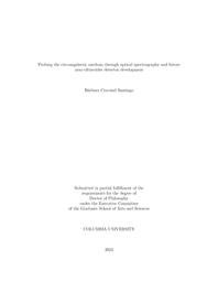 thumnail for CruvinelSantiago_columbia_0054D_18055.pdf