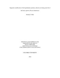 thumnail for Siller_columbia_0054D_17338.pdf