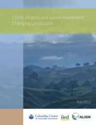 thumnail for Covid-19 and Land-based Investment - Changing Landscapes - FINAL.pdf
