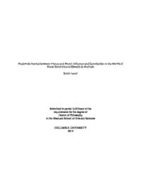 thumnail for Lazur_columbia_0054D_15390.pdf