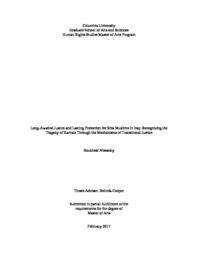 thumnail for Nissaraly, Roukhsar - Final Thesis 1.24.17.pdf