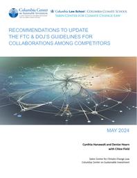 thumnail for ccsi-recommendations-guidelines-collaborations-among-competitors.pdf