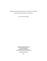 thumnail for McBee_columbia_0054D_16947.pdf