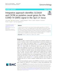 thumnail for 13059_2021_Article_2454.pdf