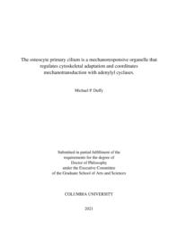 thumnail for Duffy_columbia_0054D_16632.pdf