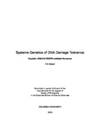 thumnail for Bryant_columbia_0054D_15010.pdf