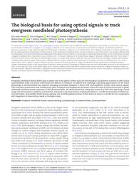 thumnail for biad116.pdf