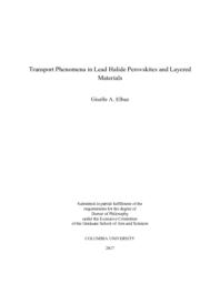 thumnail for Elbaz_columbia_0054D_14141.pdf