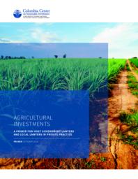 thumnail for 05b-CCSI-Investment-in-agriculture-primer-mr.pdf