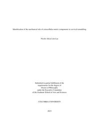 thumnail for Lee_columbia_0054D_17562.pdf