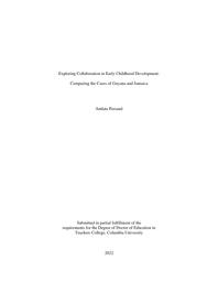 thumnail for Persaud_tc.columbia_0055E_11294.pdf