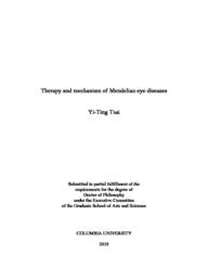 thumnail for Tsai_columbia_0054D_14915.pdf