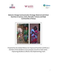 thumnail for 2015 BCC Strategy GAIN.pdf