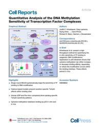thumnail for Quantitative Analysis of the DNA Methylation Sensitivity of Transcription Factor Complexes.pdf