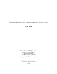 thumnail for Majeed_columbia_0054D_17389.pdf
