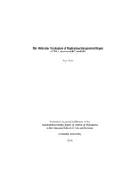 thumnail for Kato_columbia_0054D_14598.pdf