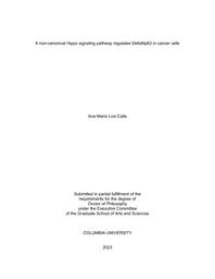 thumnail for LowCalle_columbia_0054D_17569.pdf