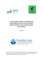 thumnail for ccsi-investments-for-sociobioeconomy-and-nature-based-solutions.pdf